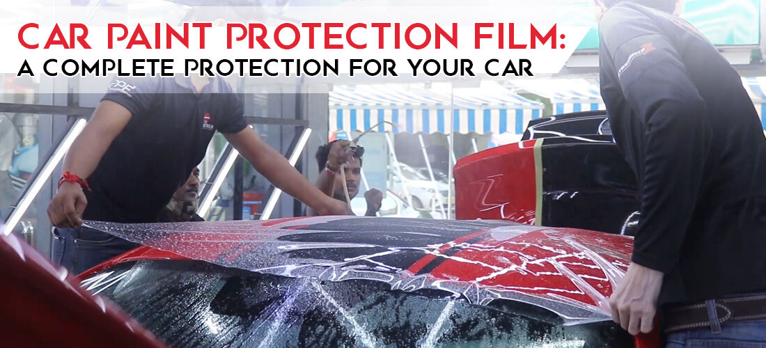 Car Paint Protection Film: A Complete Protection for Your Car - The  Detailing Mafia